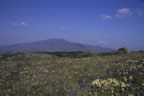 La MOntagna dalla Maremma (15kb)